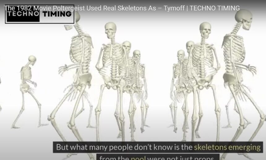 the 1982 movie poltergeist used real skeletons as - tymoff