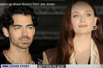 joe jonas and sophie turner