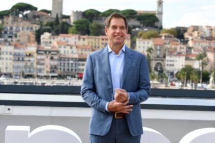michael weatherly tv shows