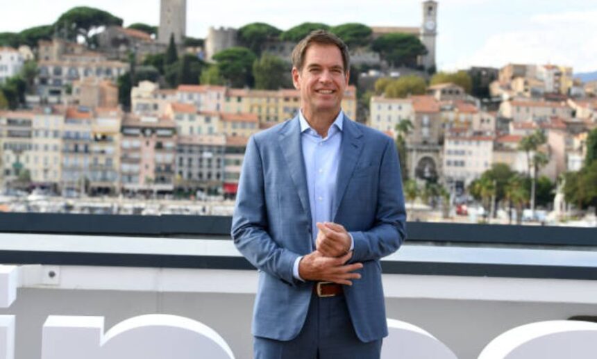 michael weatherly tv shows